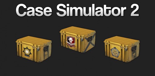   Case Simulator 2   -  2