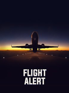 Скриншот Flight Alert Simulator 3D Free