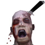 Иконка The Last Zombie Hunter
