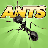 Иконка Pocket Ants: Симулятор Колонии